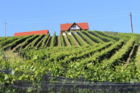 Weingartenhaus, Leutschach, Österreich